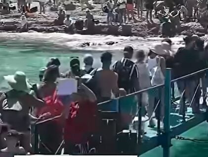Viral βίντεο από τον Μπάλο: Η επιστροφή και το τίμημα του υπερτουρισμού
