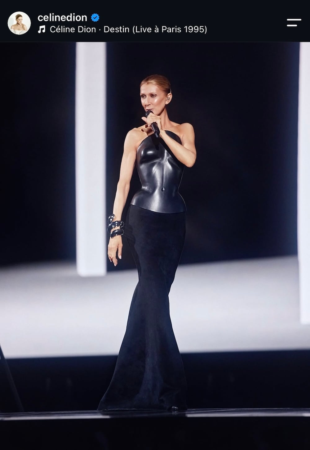 Céline Dion: Τι σημαίνει να σέβεσαι το κοινό σου και να είσαι καλοντυμένος στη σκηνή
