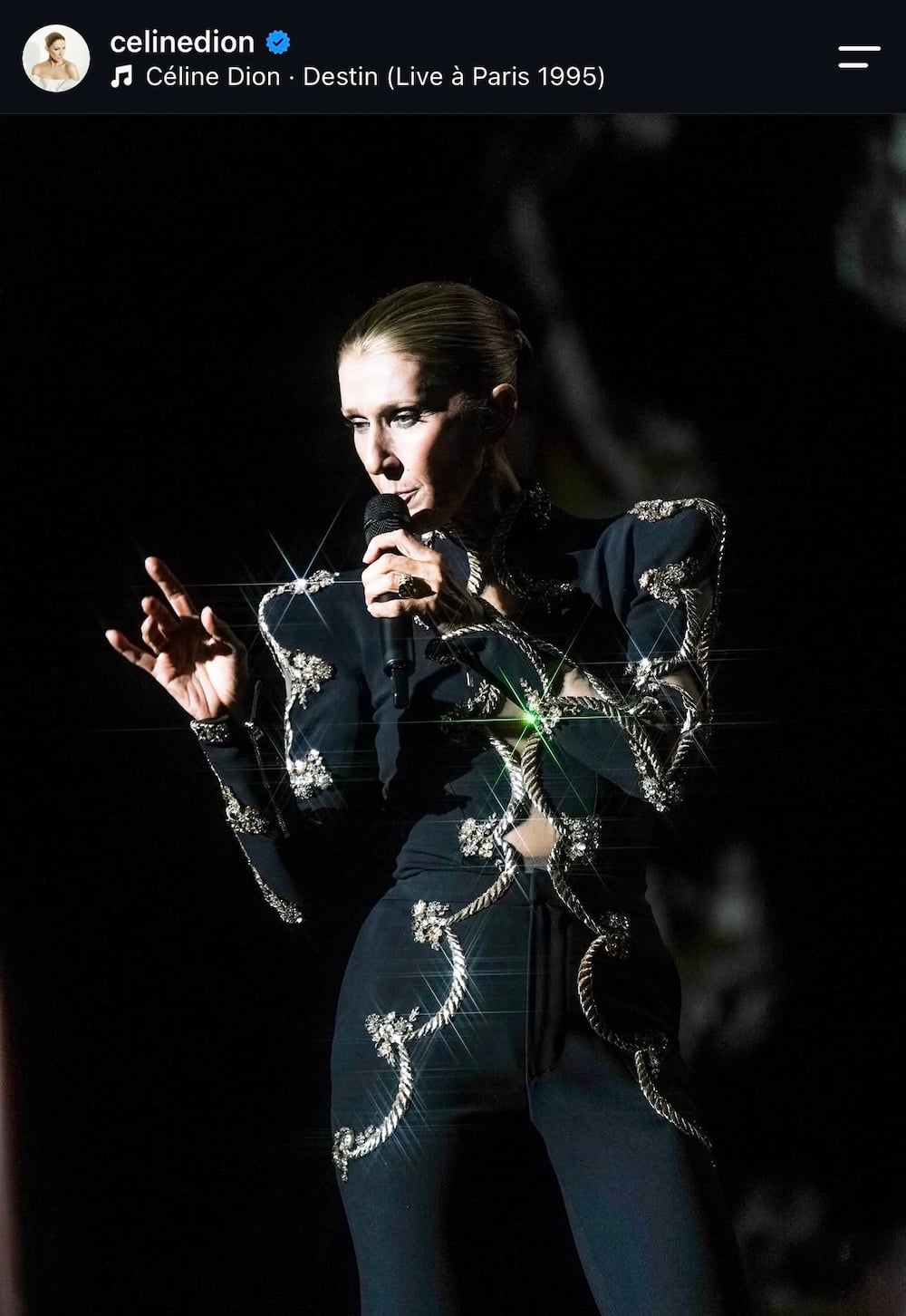 Céline Dion: Τι σημαίνει να σέβεσαι το κοινό σου και να είσαι καλοντυμένος στη σκηνή