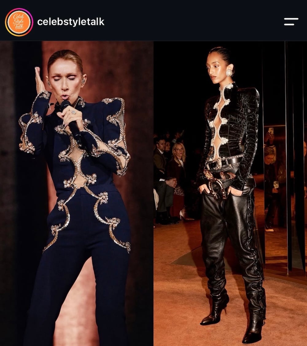 Céline Dion: Τι σημαίνει να σέβεσαι το κοινό σου και να είσαι καλοντυμένος στη σκηνή