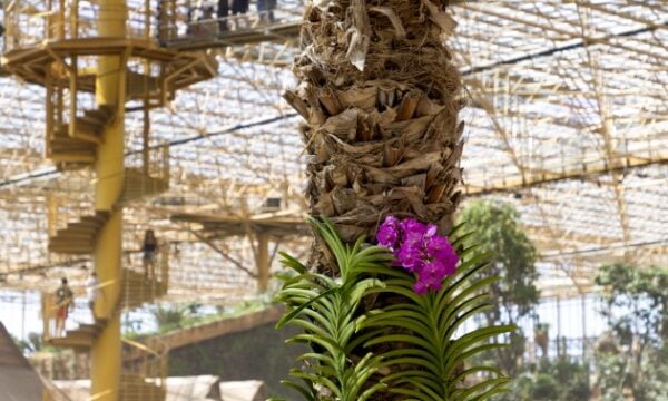Pairi Daiza: Η φύση, τα ζώα και η αρχιτεκτονική συναντιούνται