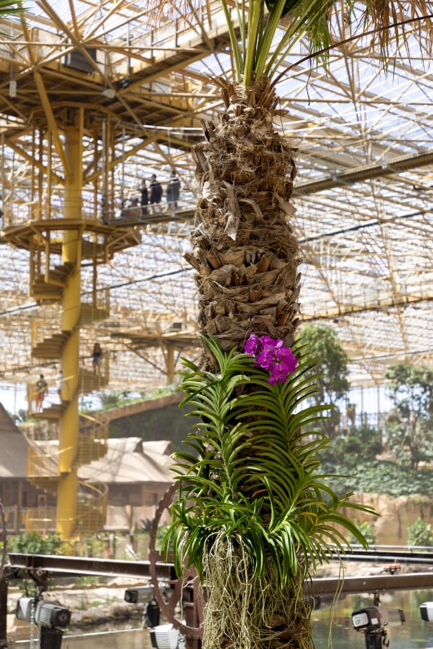 Pairi Daiza: Ένας κόσμος όπου η φύση, τα ζώα και η αρχιτεκτονική συναντιούνται