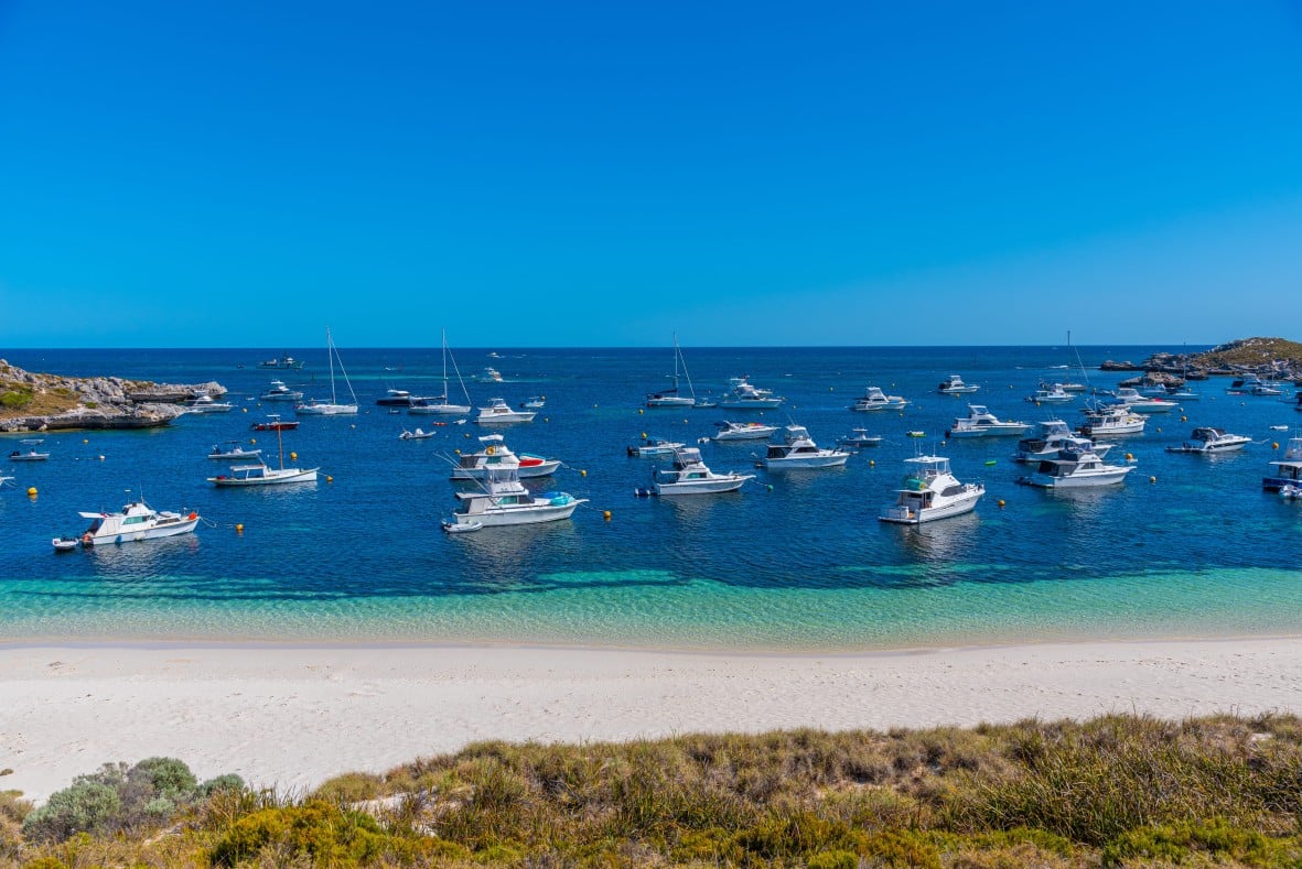 To Rottnest Island στην Αυστραλία.