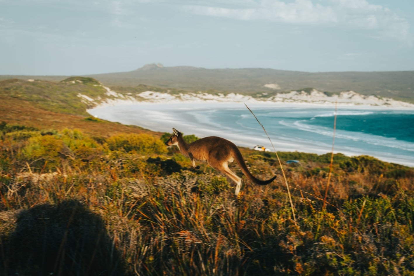 To Kangaroo Island στην Αυστραλία.