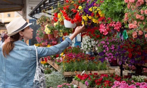 Η πόλη που μυρίζει καλύτερα στην Αμερική: Η έρευνα που έφτιαξε έναν «χάρτη μυρωδιών»