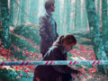 The Chestnut Man: Η δανέζικη σειρά του Netflix με τον serial killer που αφήνει πίσω του φιγούρες από κάστανα