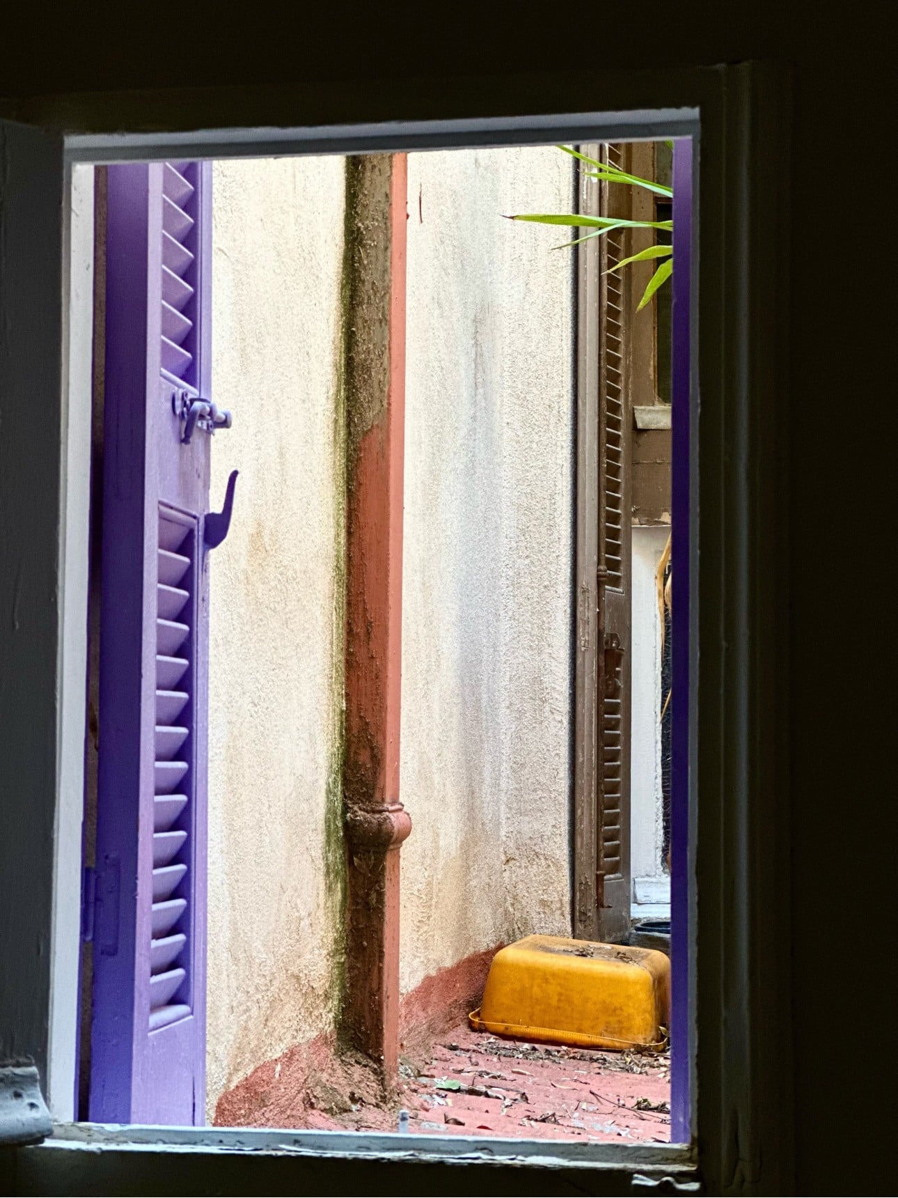 Το σπίτι της Μαρίνας Καλογήρου στα Εξάρχεια