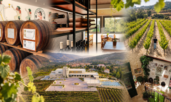 Wine Routes: 2 διαδρομές, 8 στάσεις και αμέτρητες αφορμές για εξόρμηση