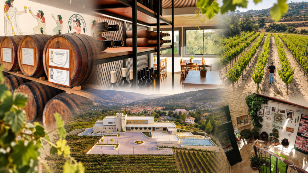 Wine Routes: 2 διαδρομές, 8 στάσεις και αμέτρητες αφορμές για εξόρμηση