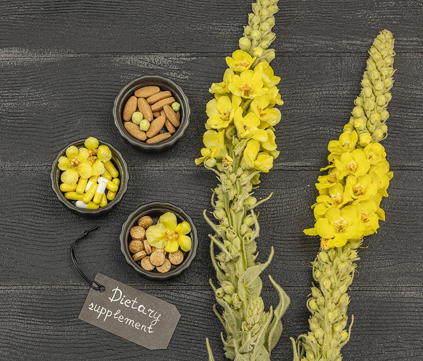 Φρέσκα άνθη φλόμου (Verbascum) πάνω σε μαύρη ξύλινη επιφάνεια