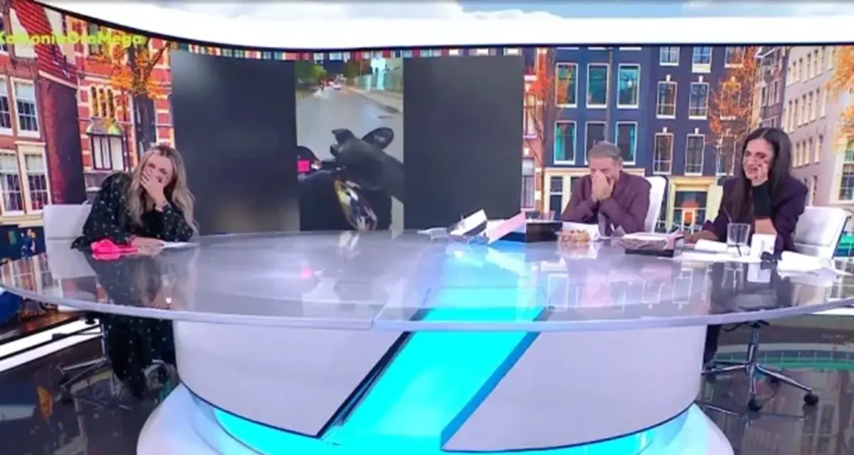 Χασαπόπουλος – Βούλγαρη: Το κοράκι που έφερε γέλια μέχρι δακρύων on air – Το ρεπορτάζ που έμεινε στη μέση