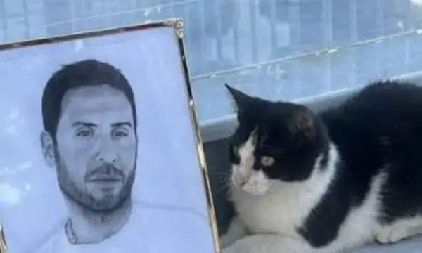 Το γατάκι Μάιλο χάθηκε από τον τάφο του Γιώργου Μαζωνάκη – Αγωνία και αναζήτηση στο νεκροταφείο