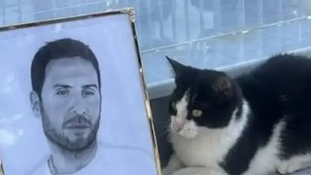 Το γατάκι Μάιλο χάθηκε από τον τάφο του Γιώργου Μαζωνάκη – Αγωνία και αναζήτηση στο νεκροταφείο